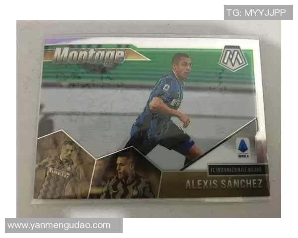 全球足球现役球星分布图揭示各大洲足坛力量格局与发展趋势 全球足球现役球星分布图揭示各大洲足坛力量格局与发展趋势